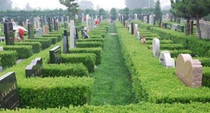 生态墓地设计的原则是什么，有哪些？