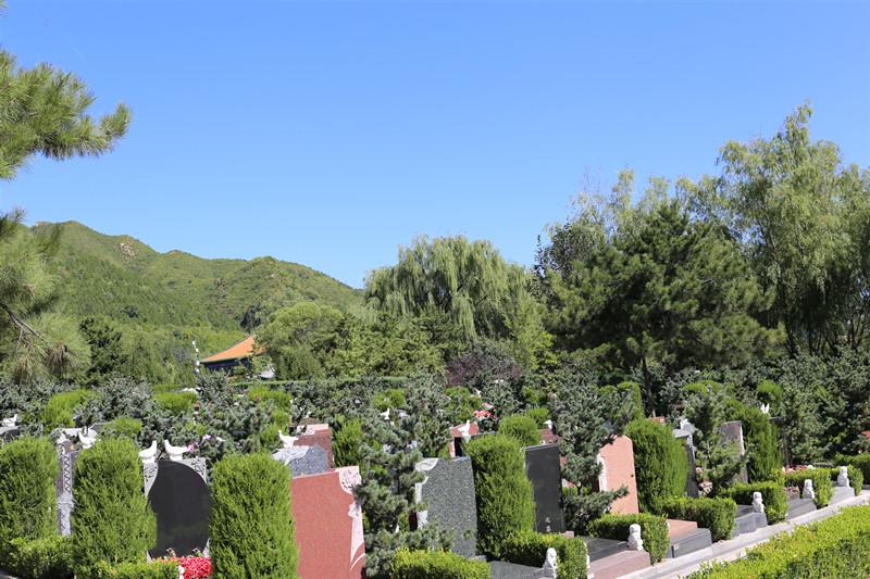 双凤纪念园谈去墓地或者祖祠阴气重的地方回来应该做些什么？