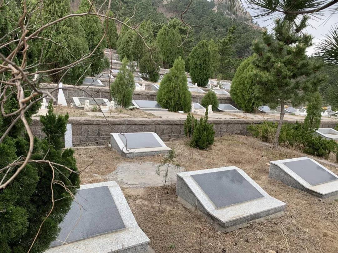 在上海购买墓地一般都需要提供哪些资料？