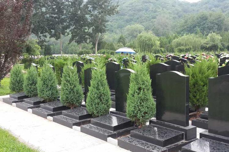 购买上海墓地的三个原则大家了解吗？
